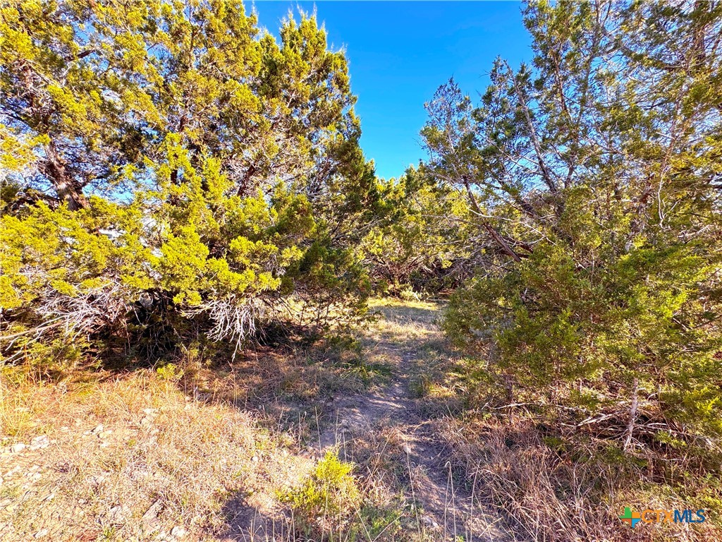 1100 Diamondhead Drive Property Photo 10