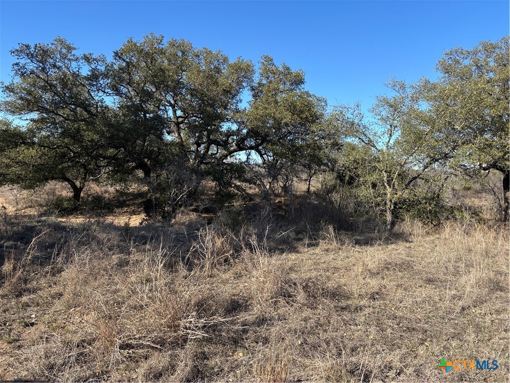 241 Lehne Loop Property Photo