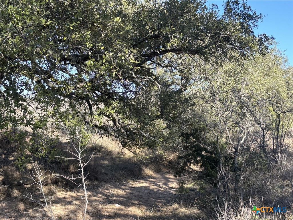 241 Lehne Loop Property Photo 1