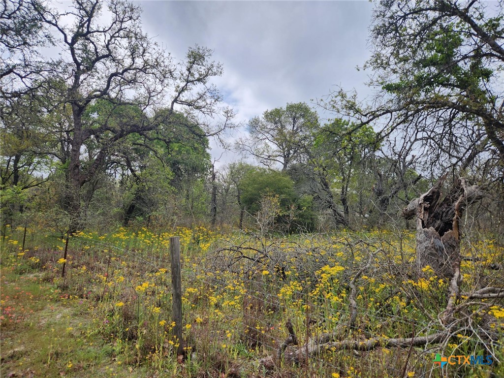 1247 Vivroux Ranch Road Property Photo