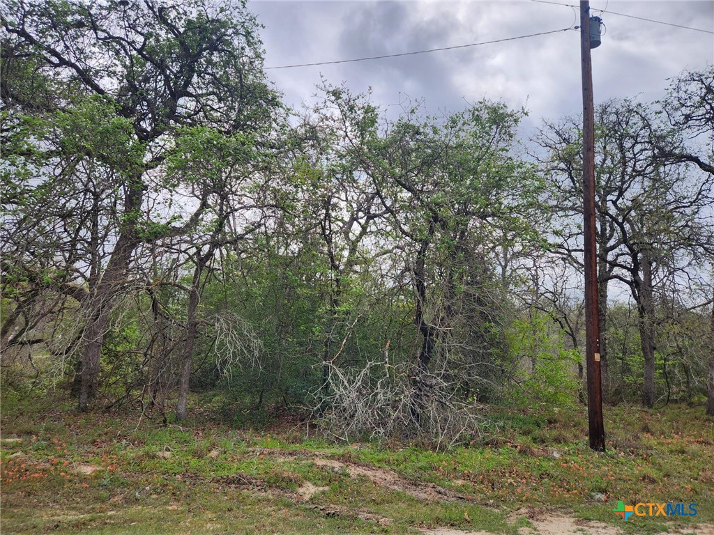 1247 Vivroux Ranch Road Property Photo 2