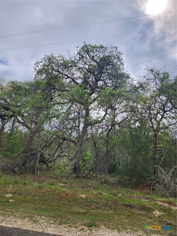 1247 Vivroux Ranch Road Property Photo 3
