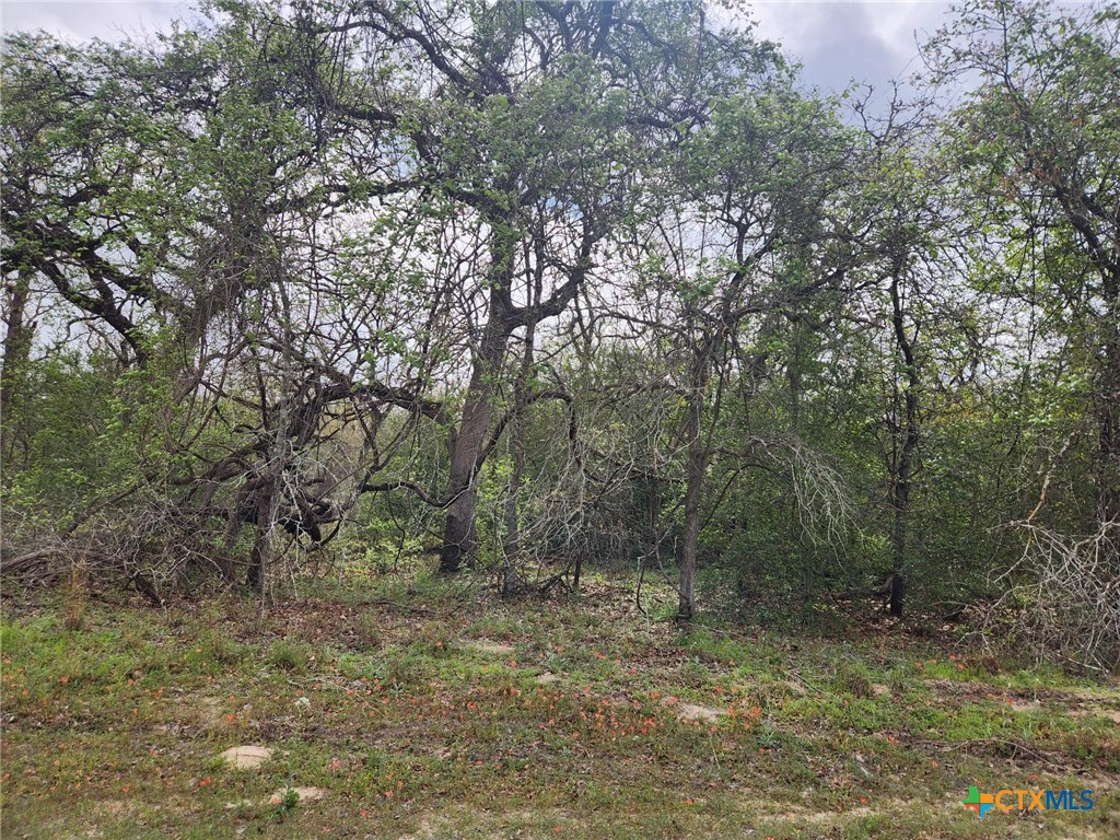 1247 Vivroux Ranch Road Property Photo 4