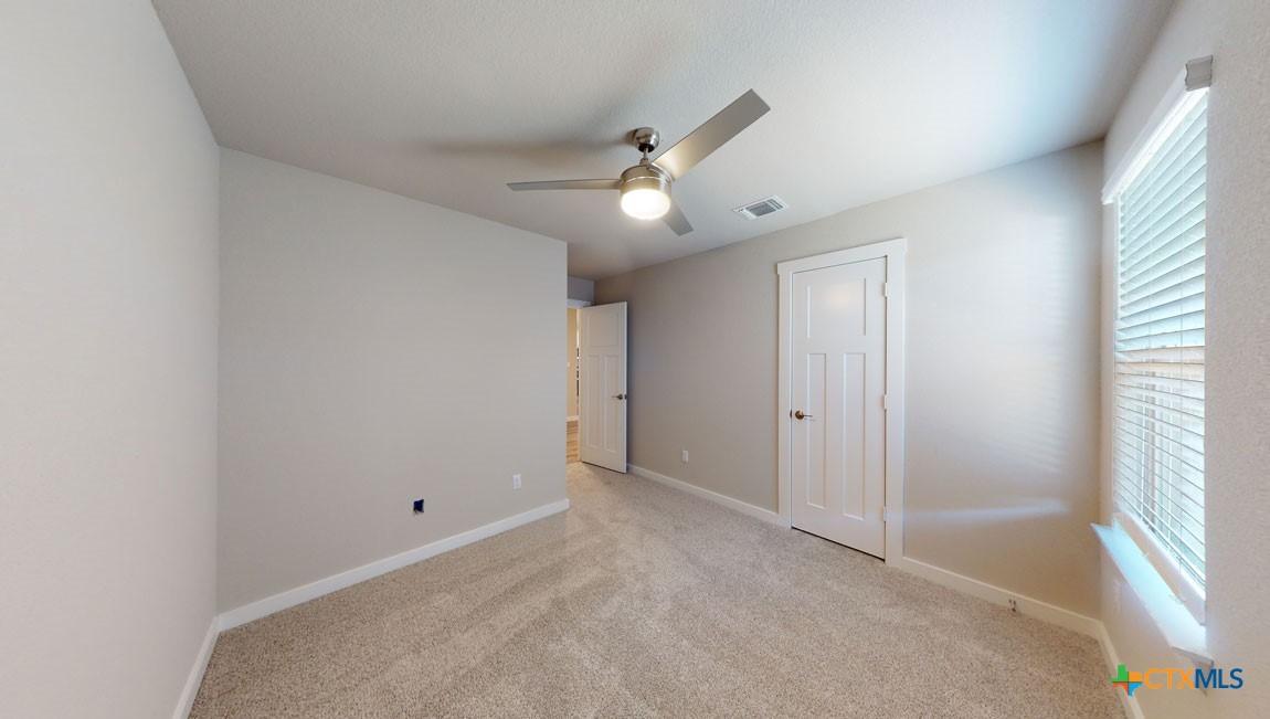4017 Illian Cove Property Photo 22