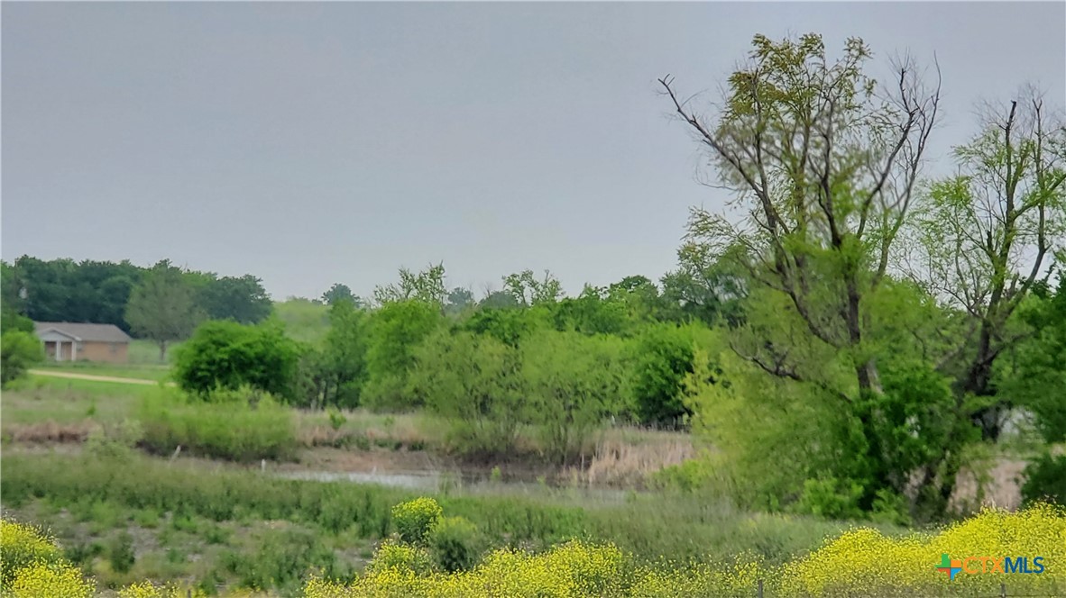 Tbd State Highway 53 Property Photo 11