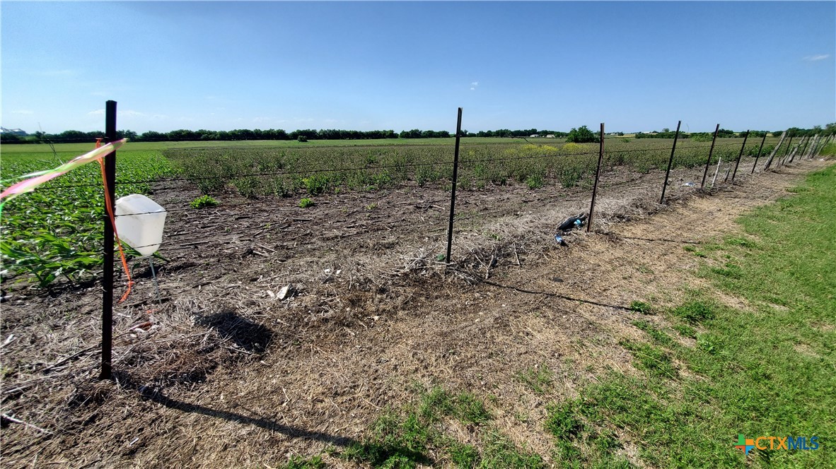 Tbd State Highway 53 Property Photo 13
