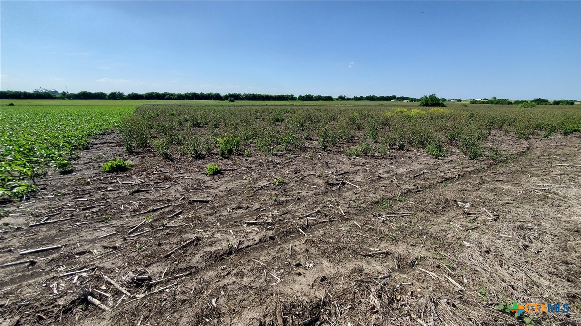 Tbd State Highway 53 Property Photo 14