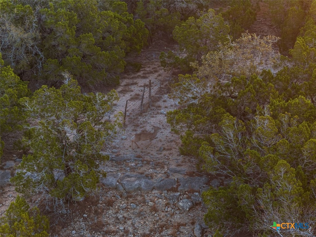 3003 Old Red Ranch Road Property Photo 8