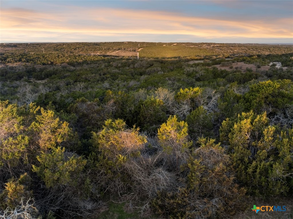 3003 Old Red Ranch Road Property Photo 9