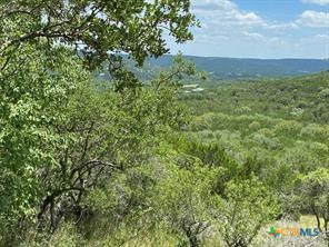 11351 Johnson Road Property Photo 4