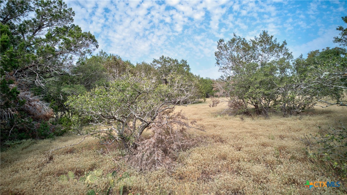 100 Sweet Clover Drive Property Photo 17
