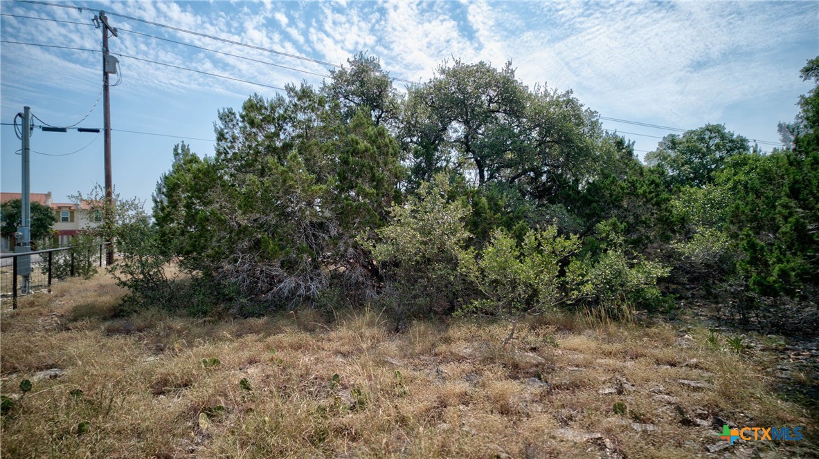 100 Sweet Clover Drive Property Photo 18