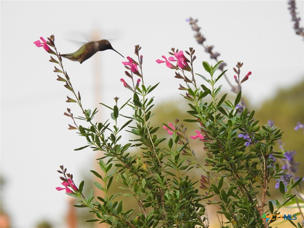 7772 E Us Highway 90 Property Photo 44