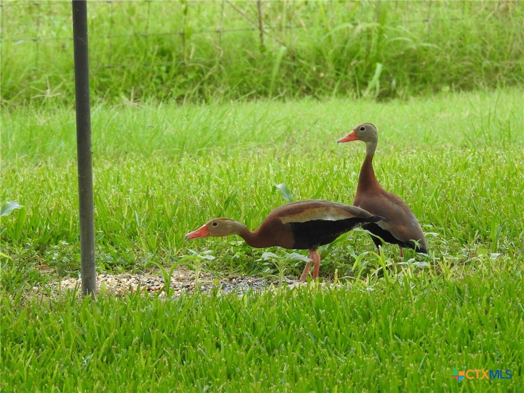 7772 E Us Highway 90 Property Photo 45