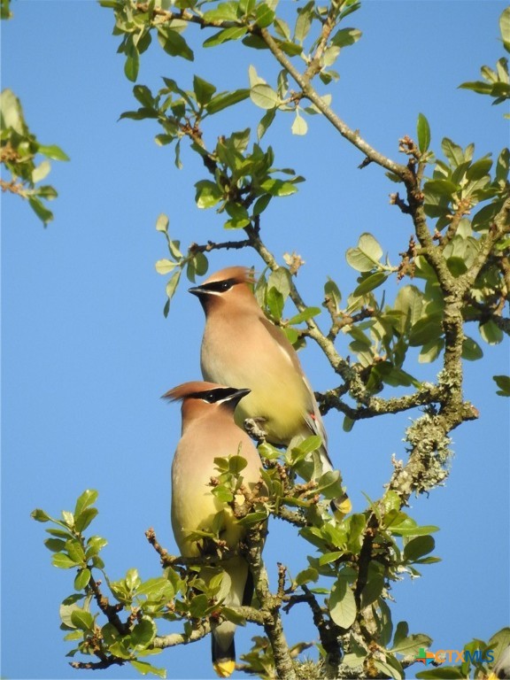 7772 E Us Highway 90 Property Photo 46