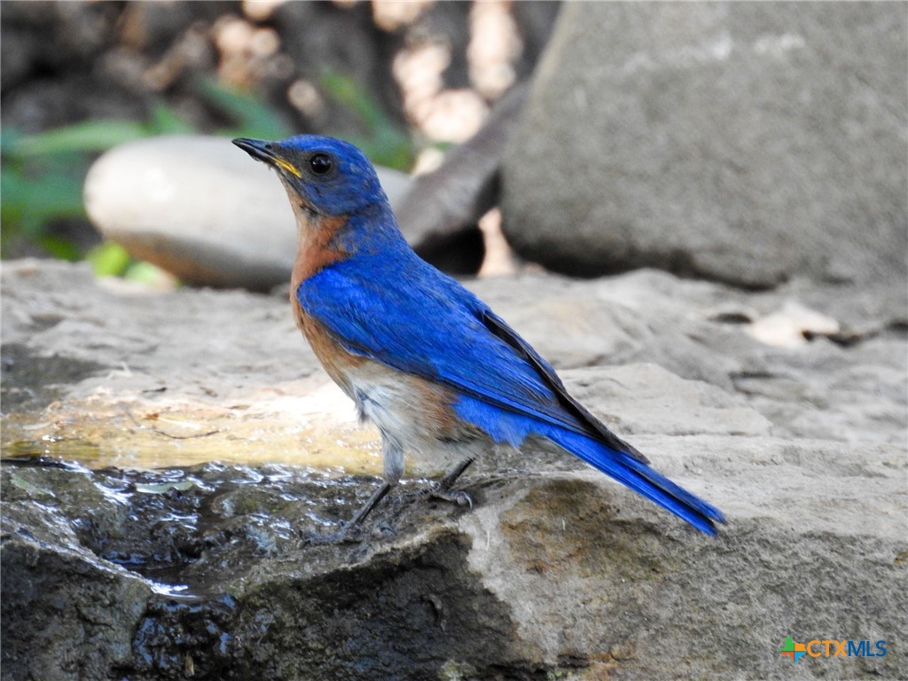 7772 E Us Highway 90 Property Photo 47