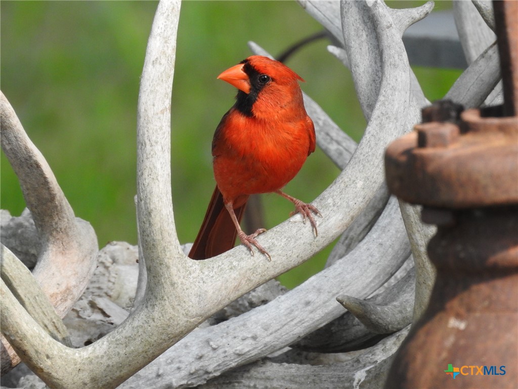 7772 E Us Highway 90 Property Photo 48