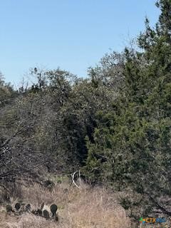 1050 Happy Hollow Drive Property Photo 3