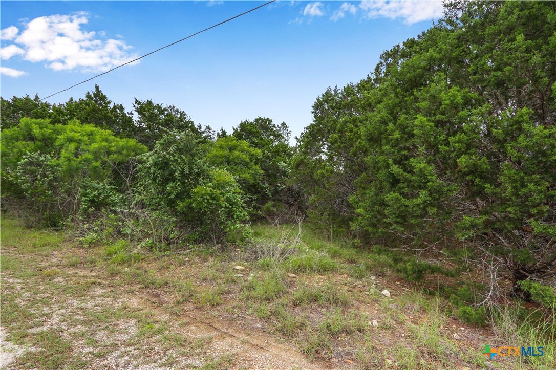 0 Clearlake Drive Property Photo 16