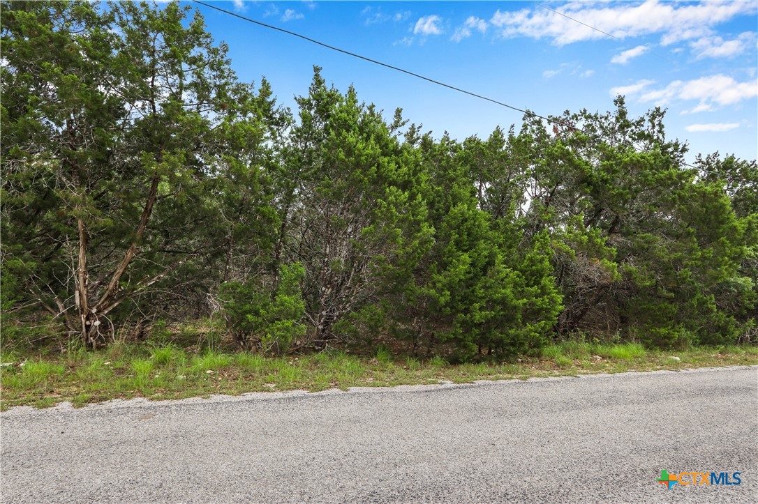 0 Clearlake Drive Property Photo 19