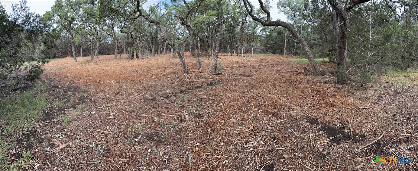 0 Clearlake Drive Property Photo 20