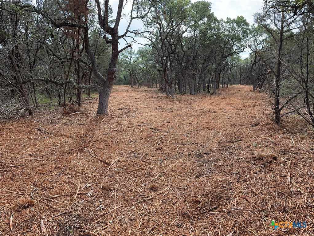 0 Clearlake Drive Property Photo 21