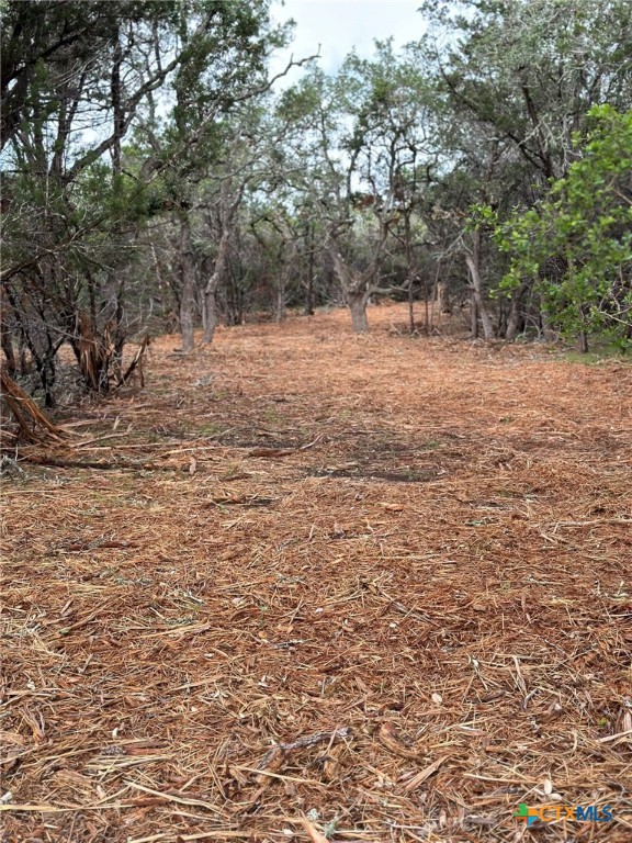 0 Clearlake Drive Property Photo 22