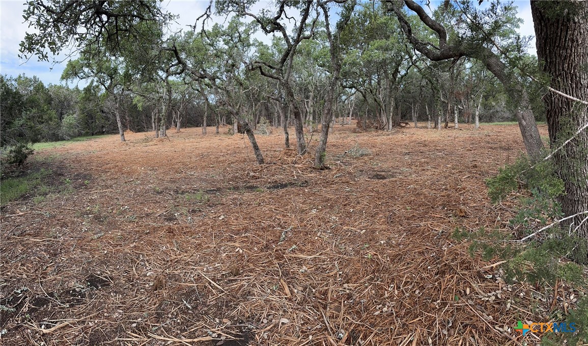 0 Clearlake Drive Property Photo 23