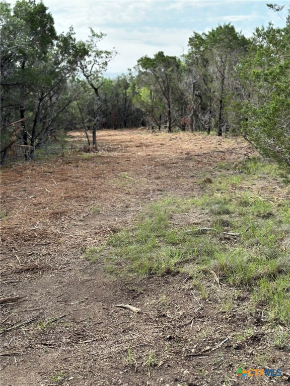 0 Clearlake Drive Property Photo 25
