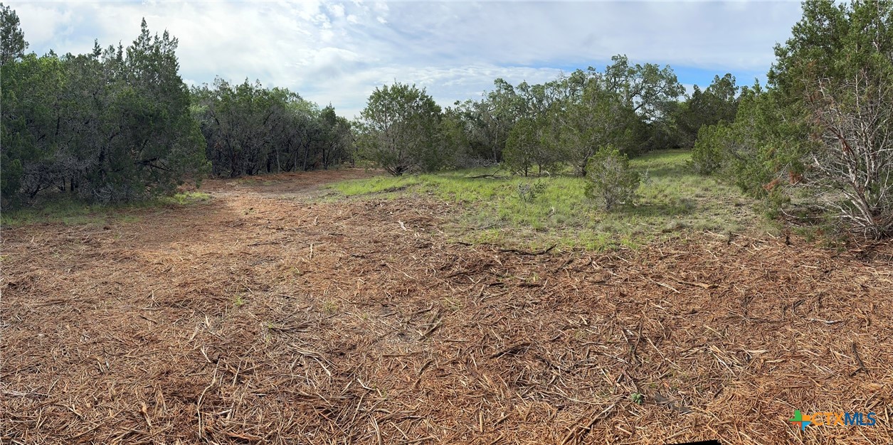 0 Clearlake Drive Property Photo 26