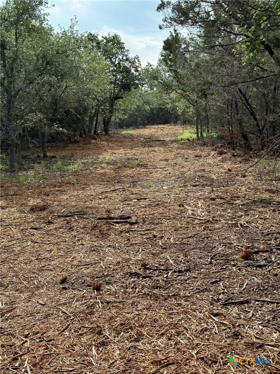 0 Clearlake Drive Property Photo 28
