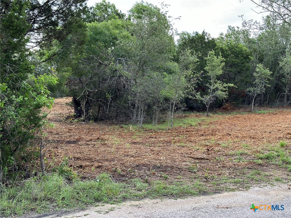 0 Clearlake Drive Property Photo 31
