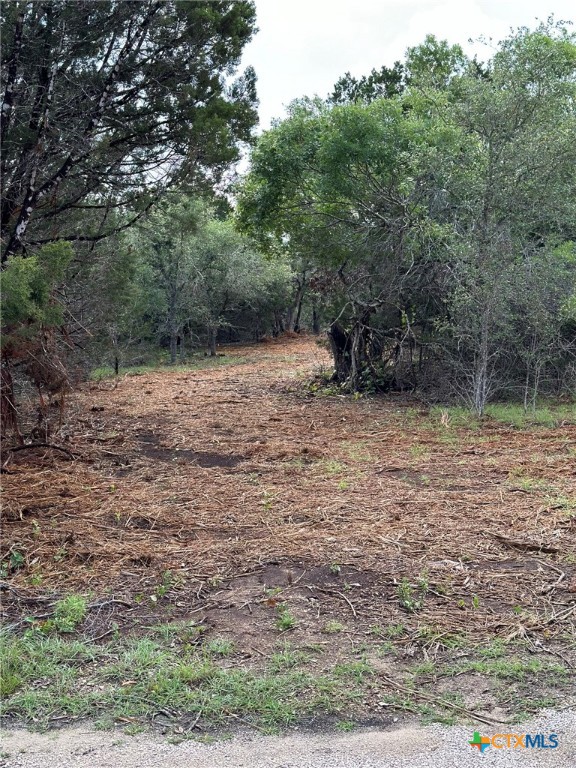 0 Clearlake Drive Property Photo 32