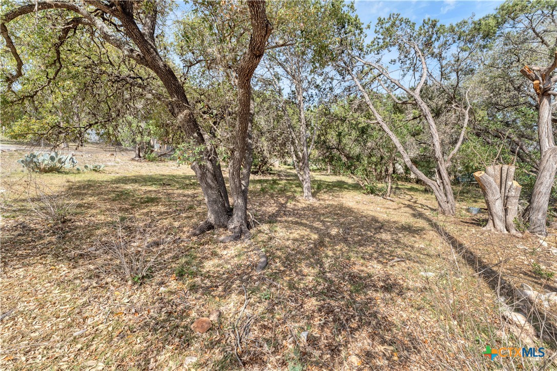 667 Fredericksburg Road Property Photo 47
