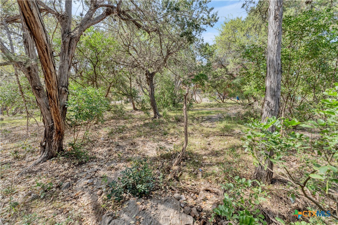 667 Fredericksburg Road Property Photo 48
