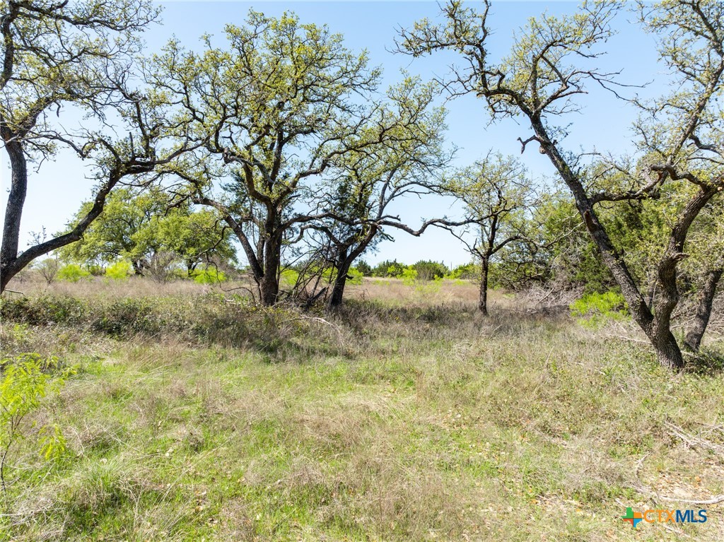 5045 Private Road 42125 Property Photo 30