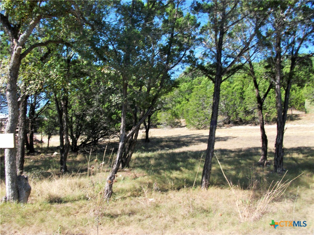 8151 Rebecca Creek Road Property Photo