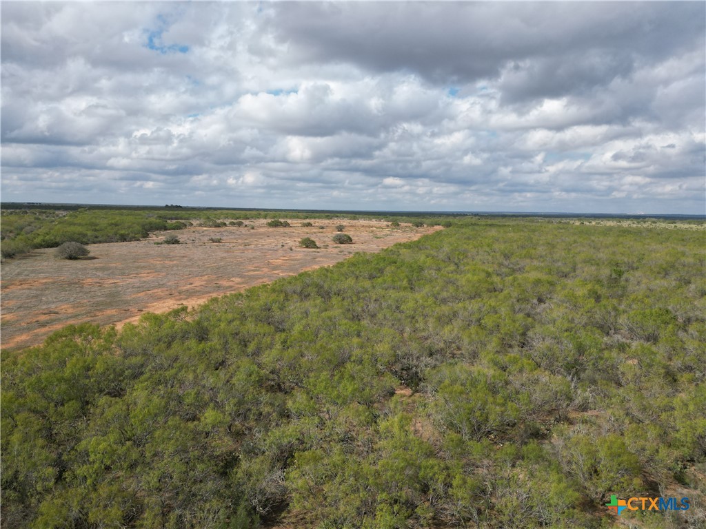 9538 Fm 1333 Property Photo