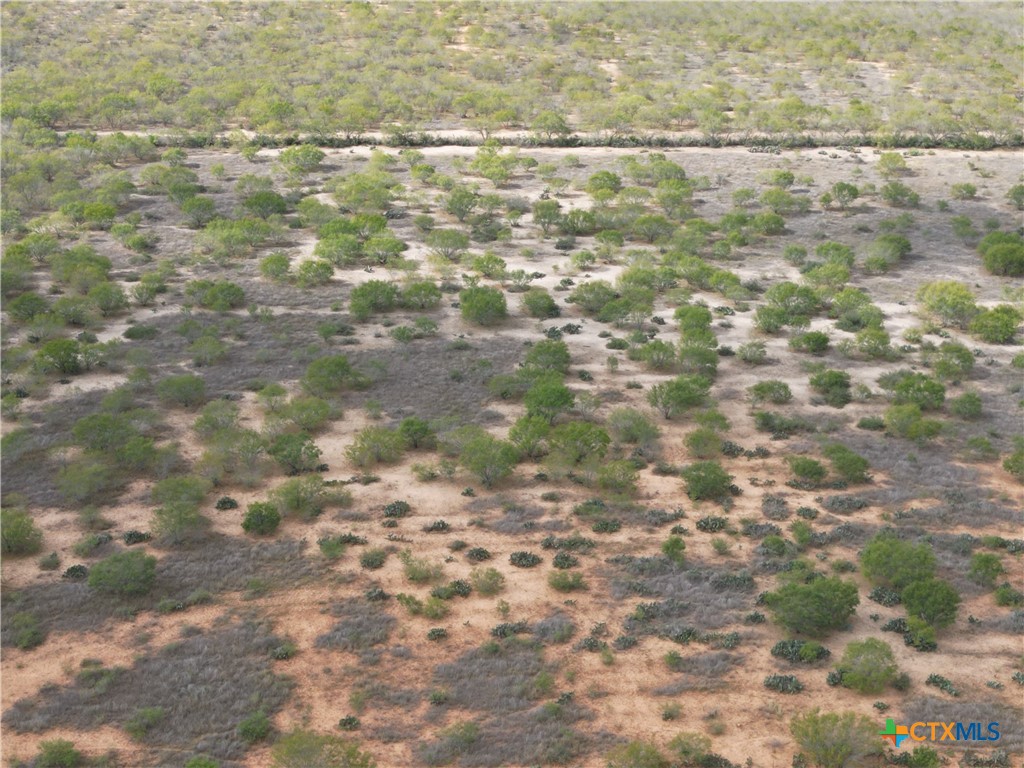 9538 Fm 1333 Property Photo 5