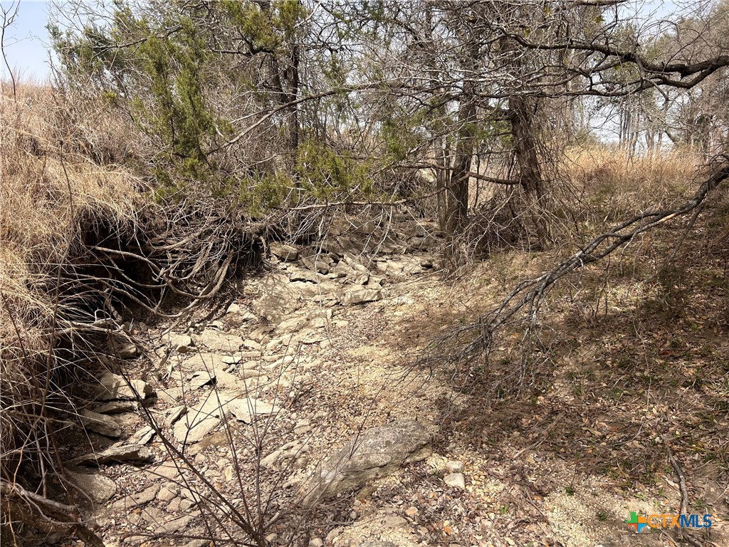 13203 Private Rd 3642 Road Property Photo 4