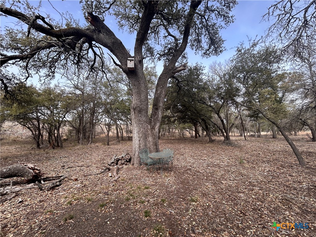13203 Private Rd 3642 Road Property Photo 8