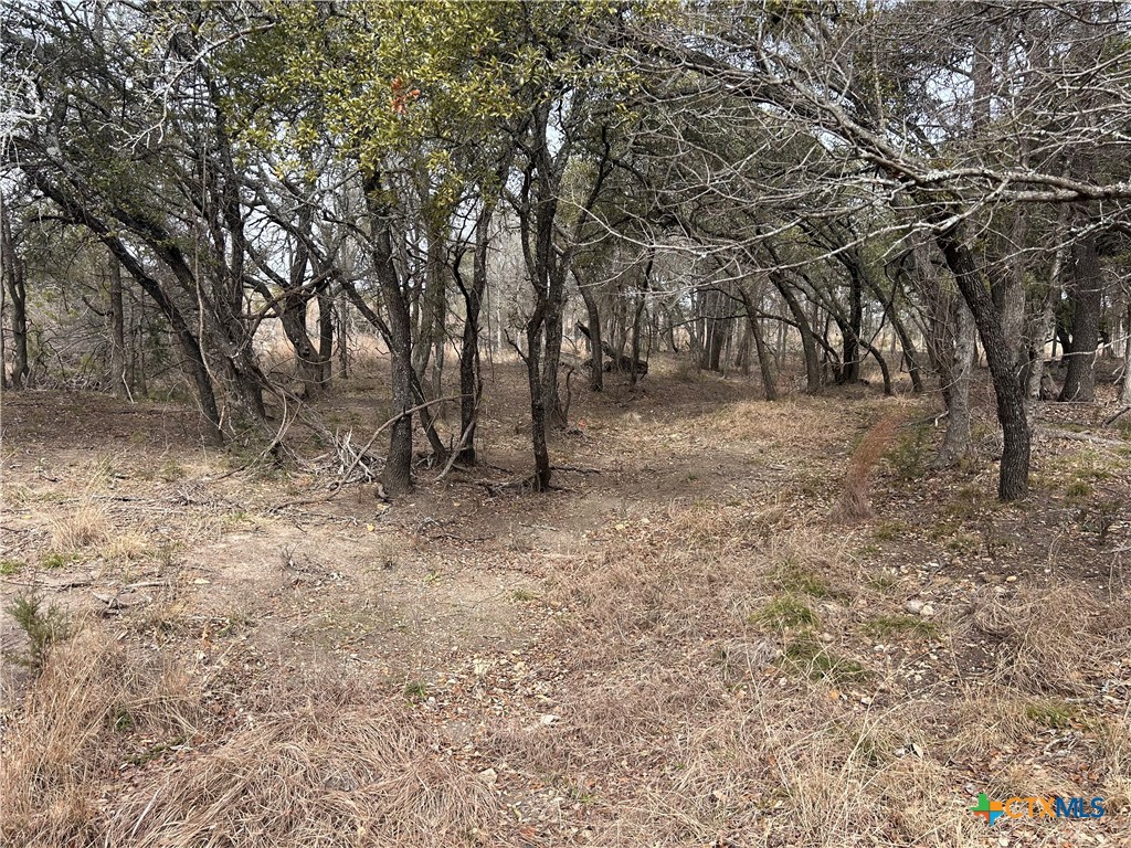 13203 Private Rd 3642 Road Property Photo 11
