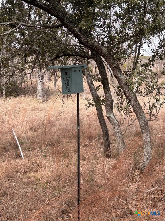 13203 Private Rd 3642 Road Property Photo 12