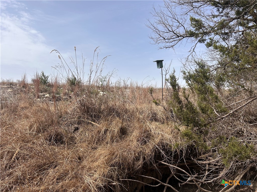 13203 Private Rd 3642 Road Property Photo 14