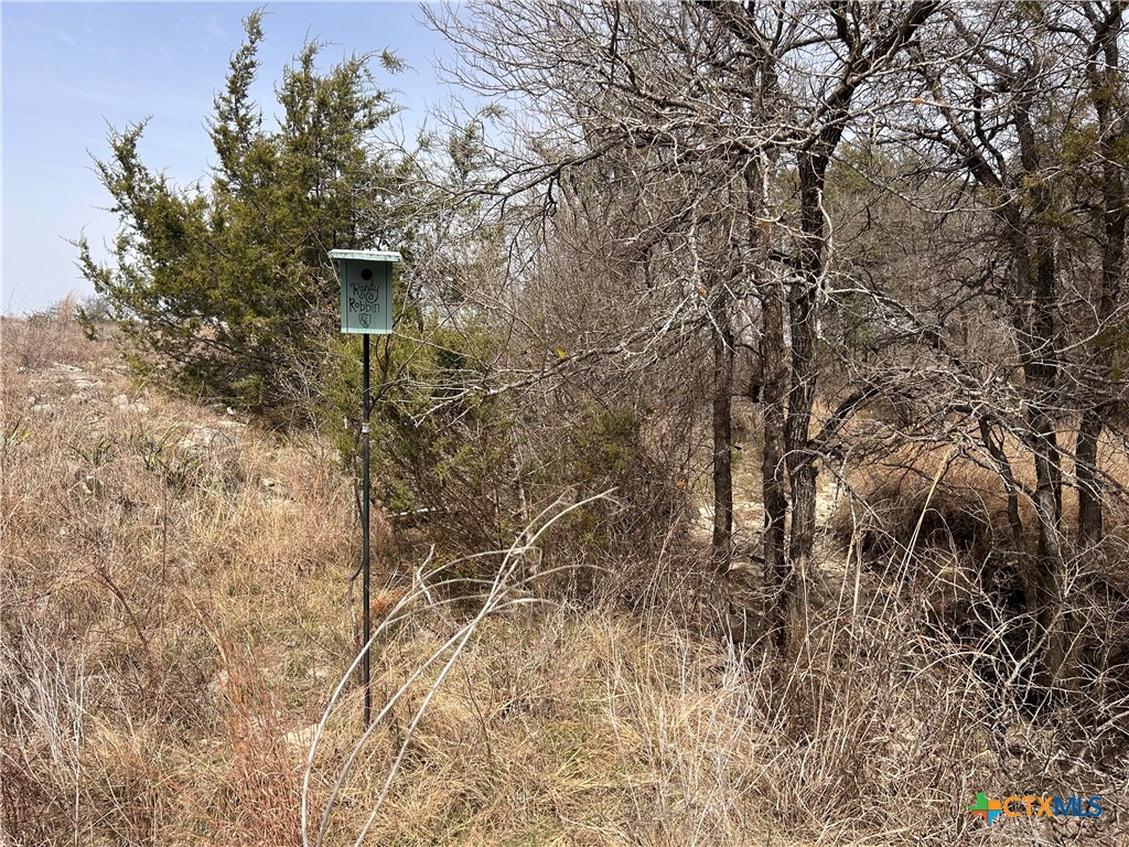 13203 Private Rd 3642 Road Property Photo 15