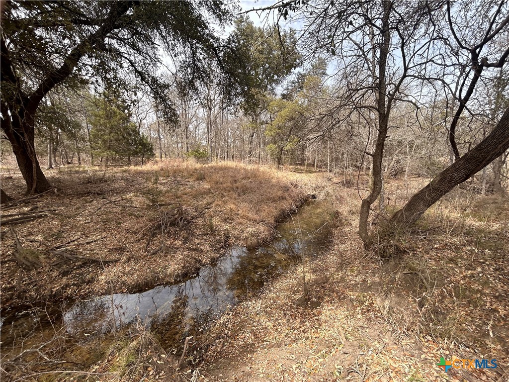 13203 Private Rd 3642 Road Property Photo 18