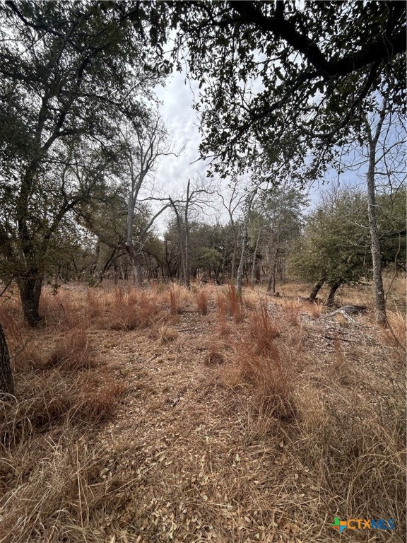 13203 Private Rd 3642 Road Property Photo 19