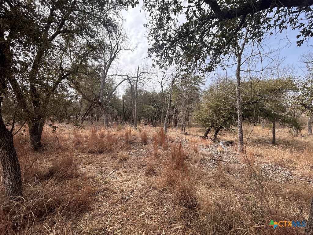 13203 Private Rd 3642 Road Property Photo 20