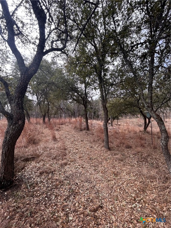 13203 Private Rd 3642 Road Property Photo 21