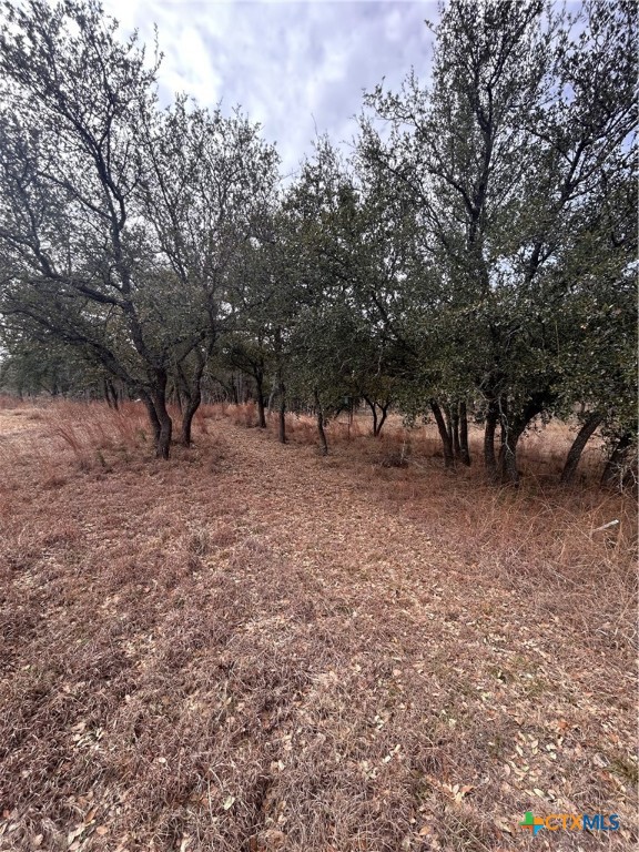 13203 Private Rd 3642 Road Property Photo 22